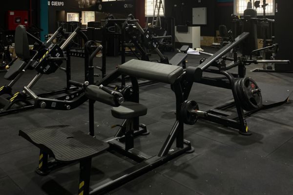 gimnasio los guindos (6)