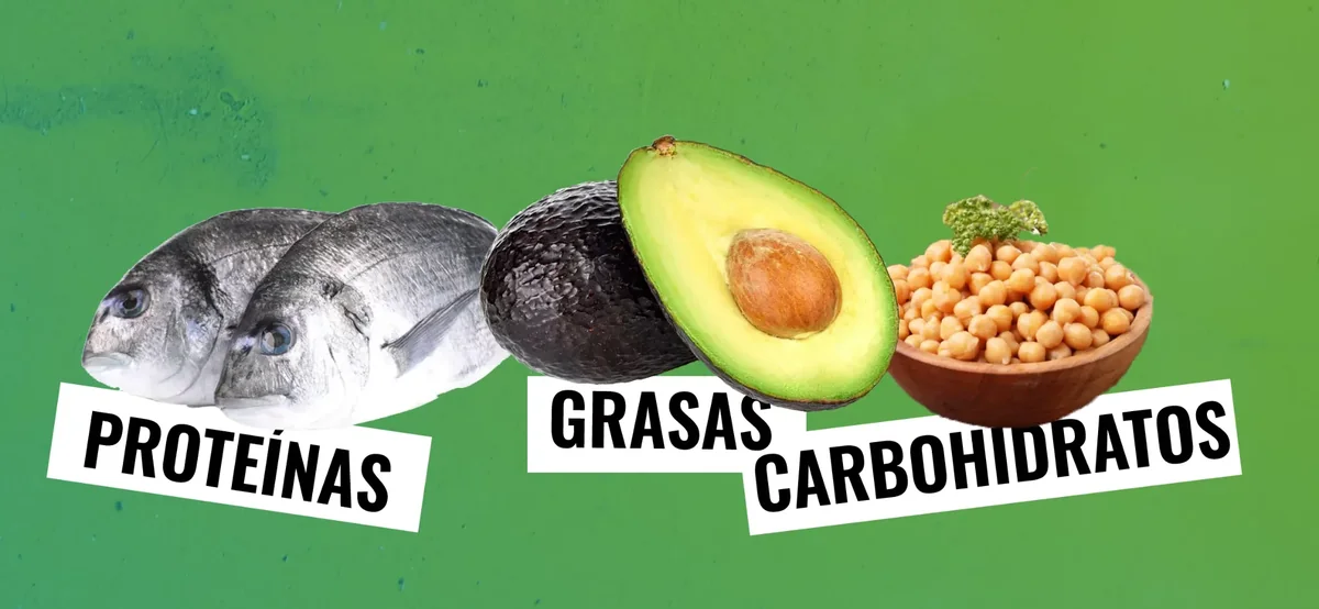 Pescado, aguacate y garbanzos como ejemplos de proteínas, grasas y carbohidratos